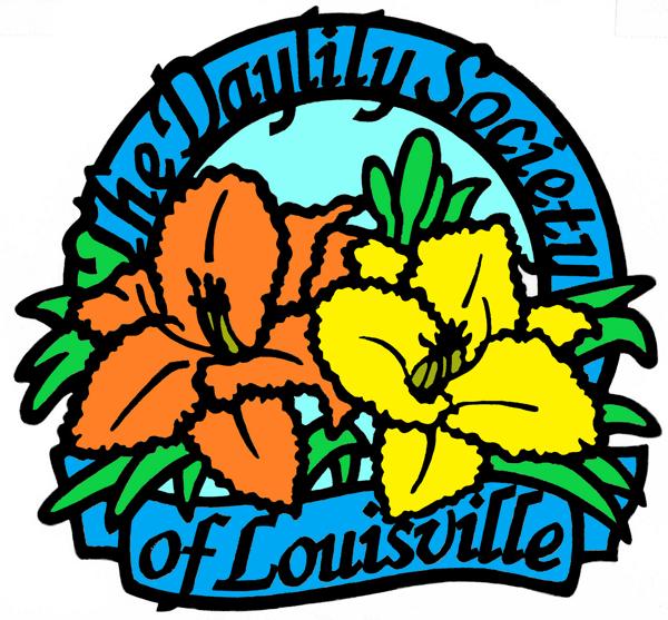 DSL logo orange and yellow